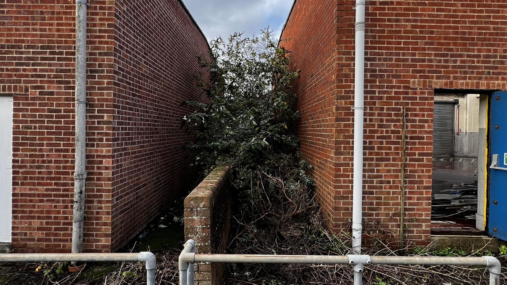 Who Should You Contact First — The Council, a Surveyor, or Your Neighbour Nottingham?